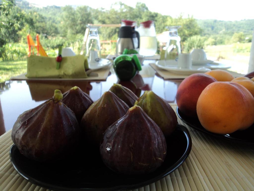 B&B Casa Vacanza Verzellino San Gregorio Magno Екстер'єр фото